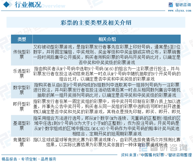 探索未来彩票奥秘，一肖一码一中一特的评估释义与落实策略（2025年展望）