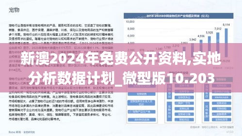 新澳免费资料40期，公司释义解释落实的战略展望