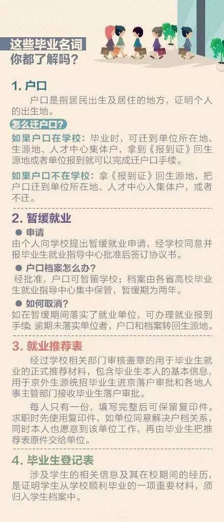 澳门正版资料全年免费看，透亮释义与行动落实的重要性