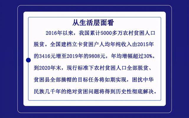 新澳门免费资料大全，历史记录、马趋势释义与落实解析