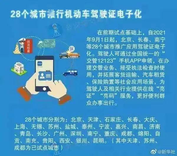 管家婆一票一码100正确，升级释义解释落实的重要性与策略