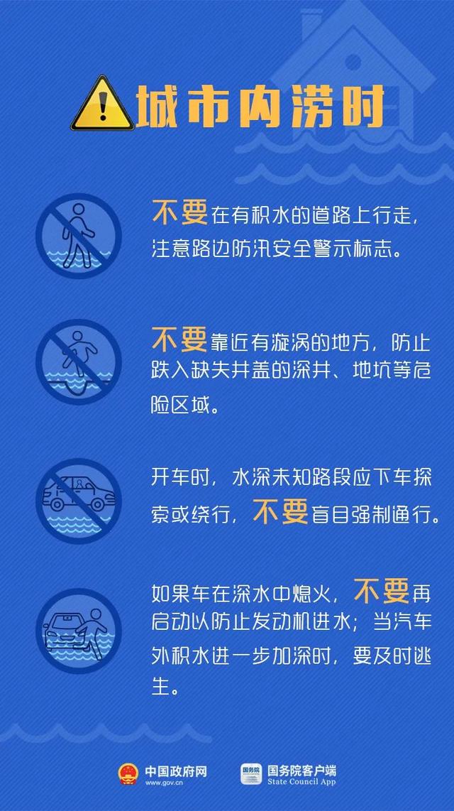 探索未来，新澳精准正版资料的免费共享与架构释义的落实