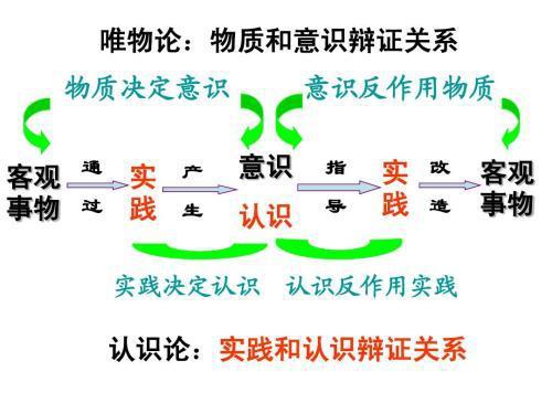 免费分享新奥精准资料，力量释义、解释与落实的重要性