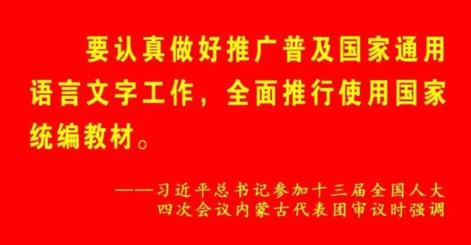 迈向2025，正版资料免费公开的新时代风范及其落实策略