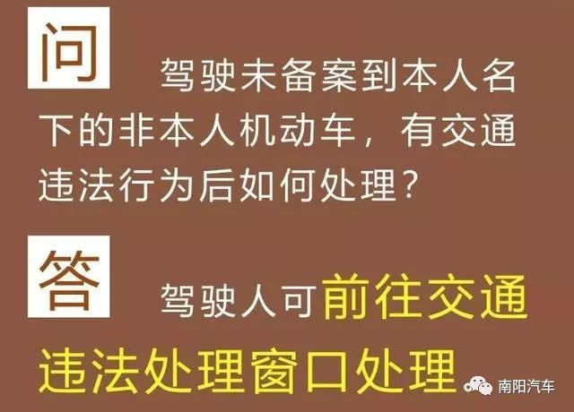 澳门资料权威解读，免费大全与会员释义的落实之路