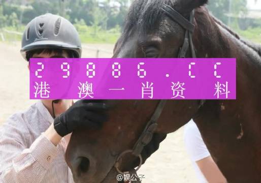 松江区石湖荡镇 第19页