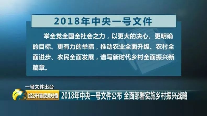 新澳精准资料大全权威释义与落实行动指南（2025版）