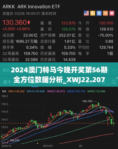 澳门今晚开特马技能释义解释落实，探索与前瞻