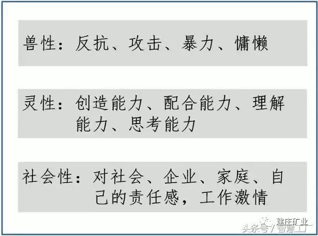 今晚澳门特马开什么今晚四不像，竞争释义解释落实的重要性