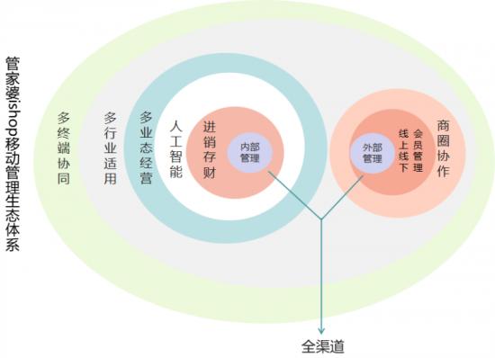 探索精准管家婆之路，体系释义、解释与落实的探讨