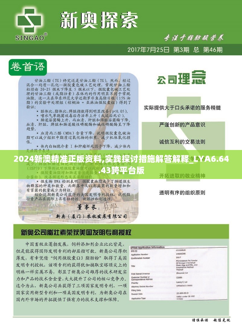 新澳精准资料免费提供221期，术研释义解释落实的重要性与方法