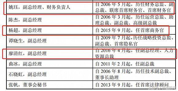 四川长虹重组已成定局，国际释义、解释及实施策略