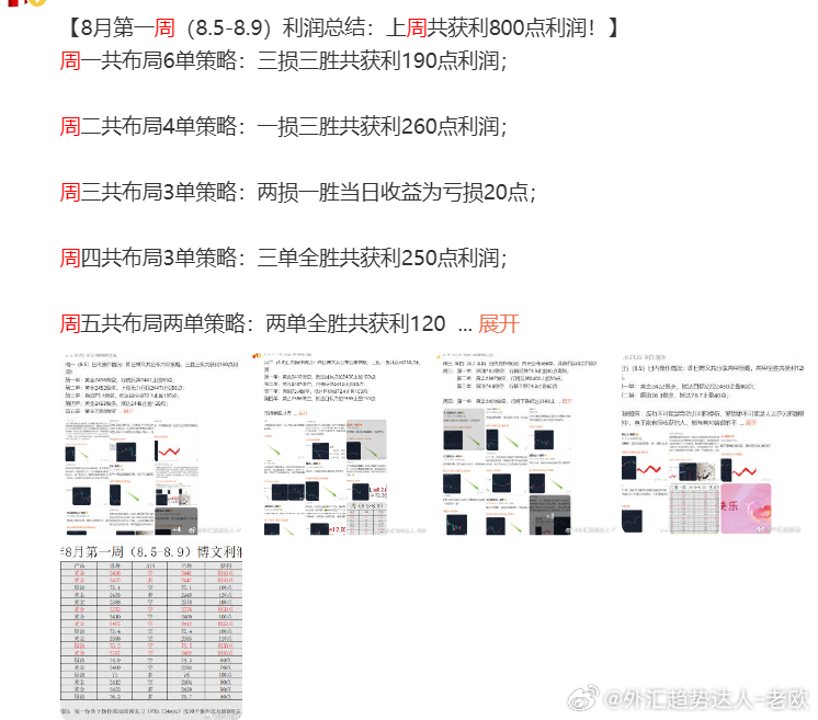 关于白小姐一肖一码与准确预测，解读第261期的秘密与落实行动