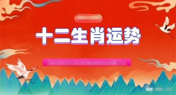 揭秘百分百精准一肖一码，流程、释义与实际操作