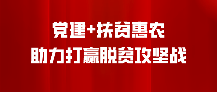 新澳门管家婆一句领袖释义解释落实，引领与行动的力量