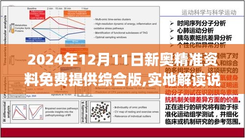 2025新澳精准正版资料与实效释义，从理论到实践的深度落实