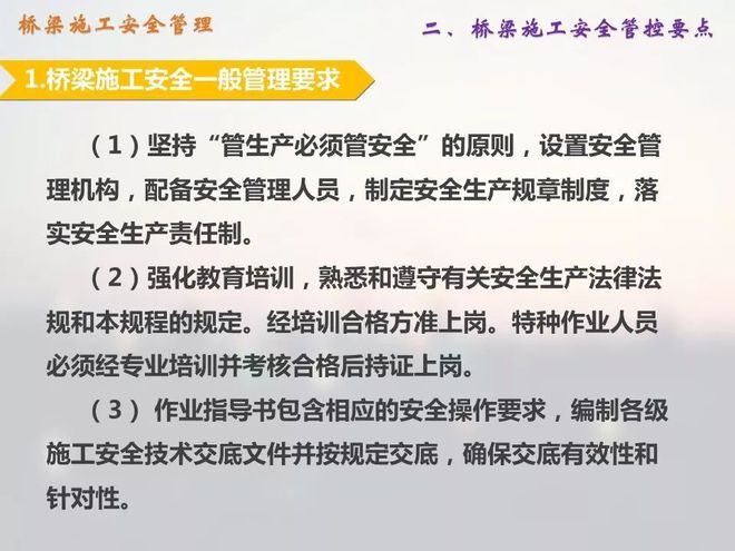 一肖一码一一肖一子，安全释义、解释与落实