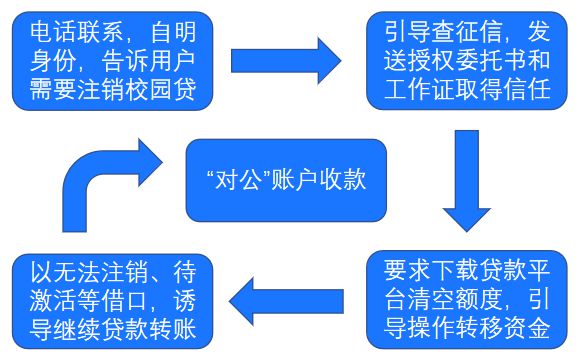 探索精准管家婆的世界，从免费服务到狼奔释义的全面解读