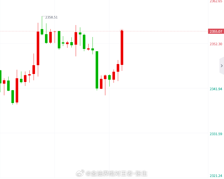 澳门特马今晚开码，策动释义解释落实的重要性与策略分析