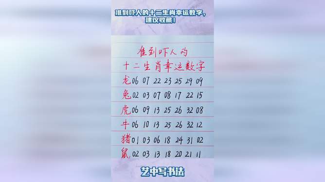 解读十二生肖与数字49的关联，进度释义与落实行动