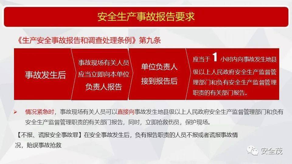 探索2025年正版管家婆最新版本，释义、解释与落实