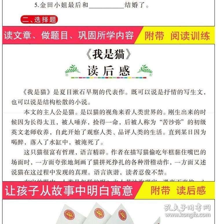 新澳天天彩正版资料背景故事与模型释义解释落实