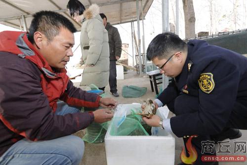 澳门一码一码与河南地区的联系，陈述、释义、解释与落实