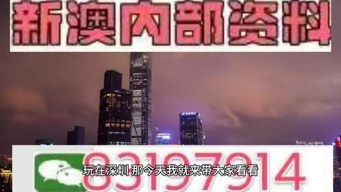 新澳门2025天天开好彩，固定释义解释与落实策略