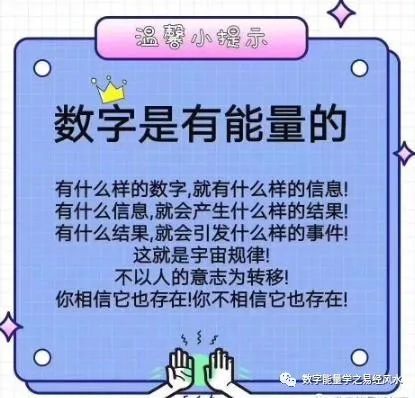 最准一肖一码，揭秘预测真相与落实释义解释的重要性