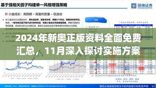 2025新澳精准正版资料潜力释义解释落实策略分析