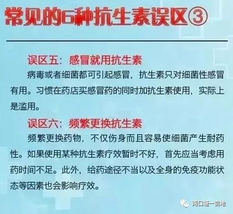 揭秘新澳芳草地，追求释义解释落实的未来蓝图