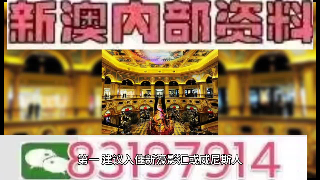 澳门特马第56期开奖结果解析与专家解读