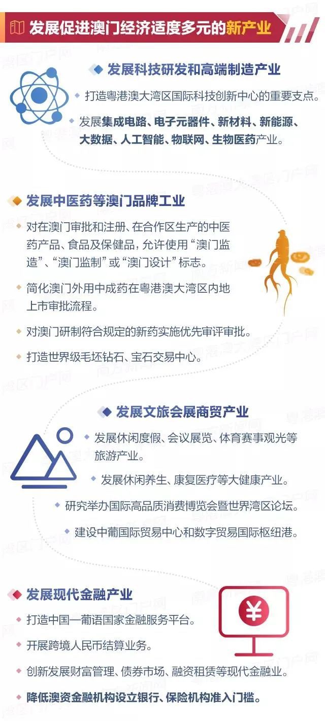 新澳2025年精准资料33期与闪电释义解释落实深度探讨