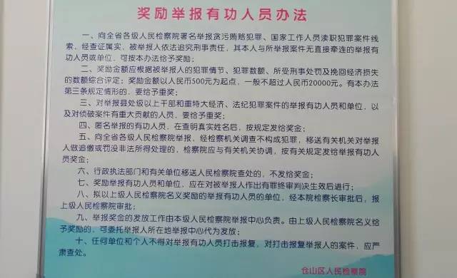 一码一肖一特马报，案例释义、解释与落实的探讨