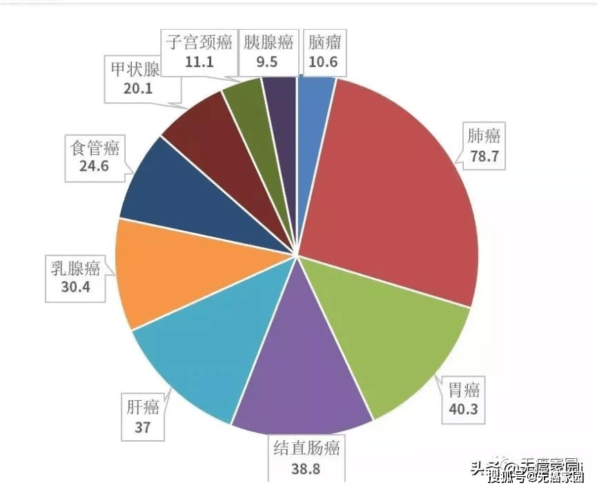 最新全国联销图2025，要点释义、解释与落实策略