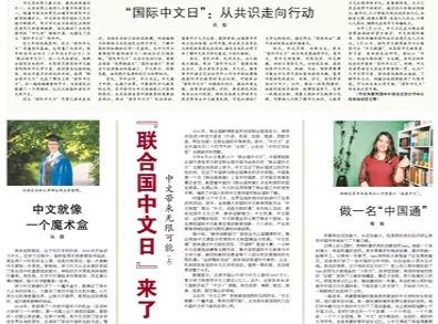 新澳门全年免费资料与鹊起释义，深度解析与落实行动