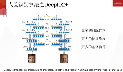 澳门全年资料免费大全一，业业释义解释与落实的探讨