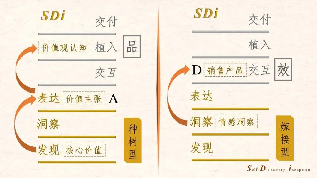 王中王与情商，深度解析与实际应用