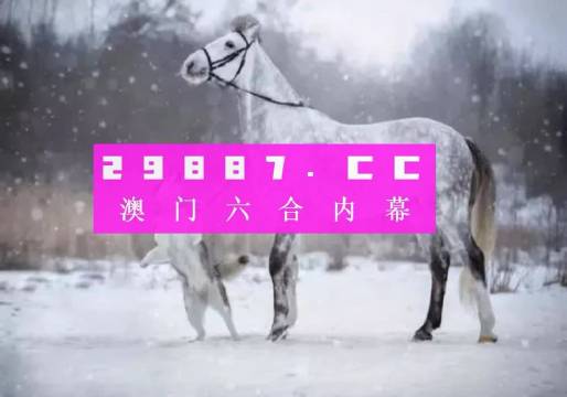 澳门一肖一码，揭秘预测背后的真相与释义