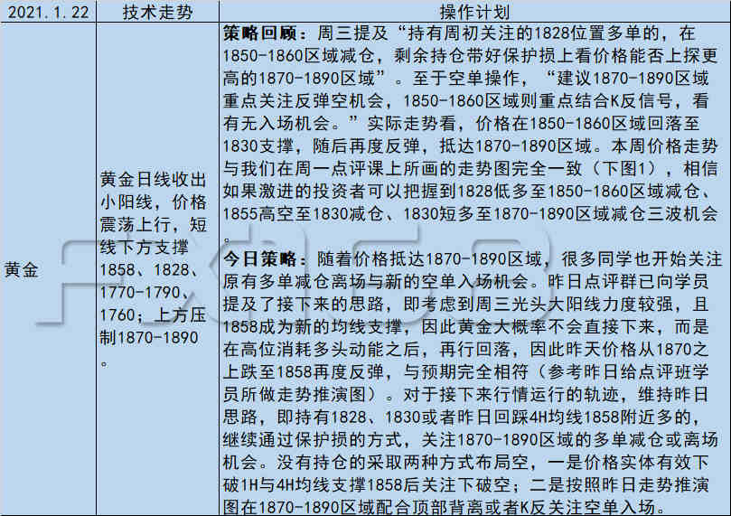 新奥天天精准资料大全与关键释义的落实解析