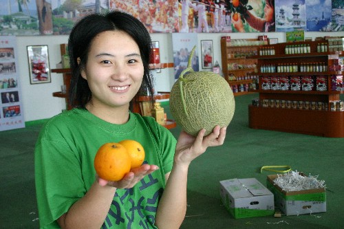 澳门水果奶奶，扩张释义、解释与落实的探究