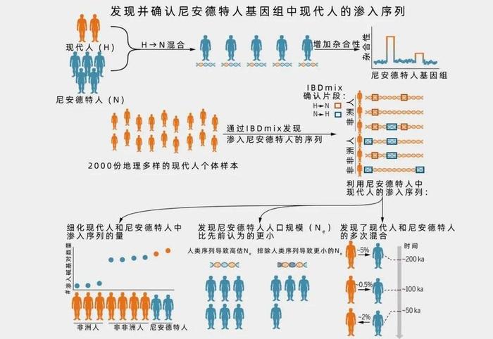 2025年澳门特马现象与现代释义下的实施策略