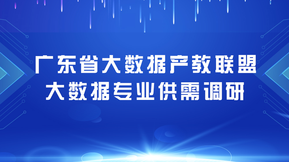 新澳最精准正龙门客栈揭秘，智慧解读与落实策略